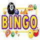 bingo lottery source code